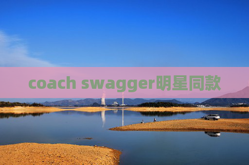 coach swagger明星同款